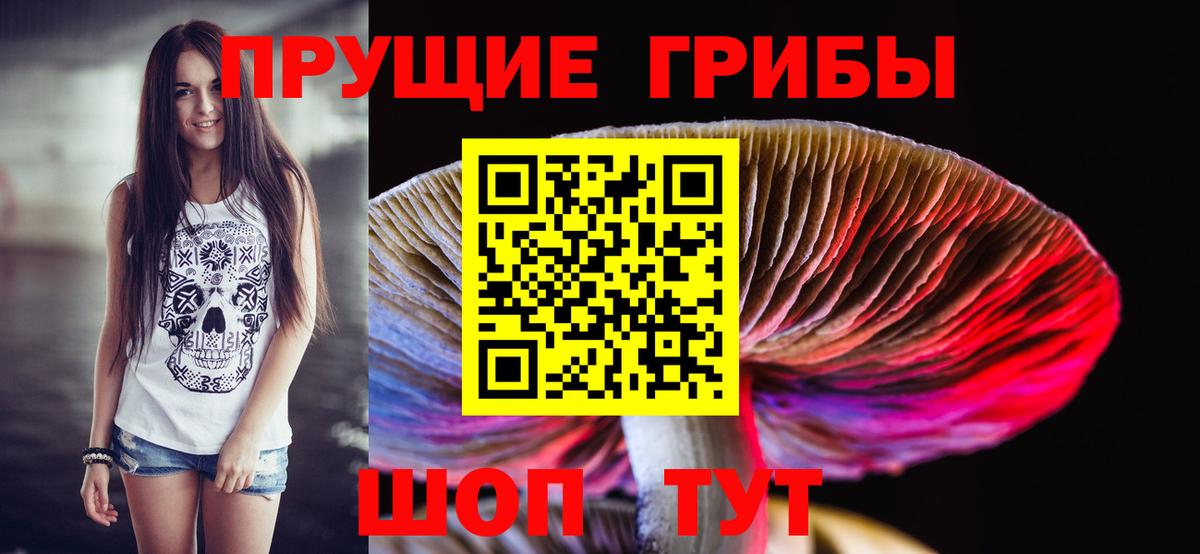 Златоуст  Псилоцибиновые грибы прущие грибы  Вход с VPN  Псилоцибиновые грибы мицелий 